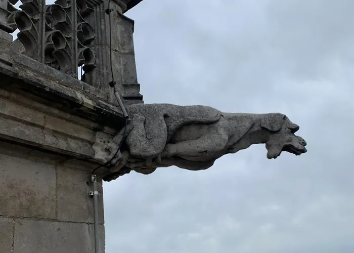 Le Saint Fiacre - Homillesime