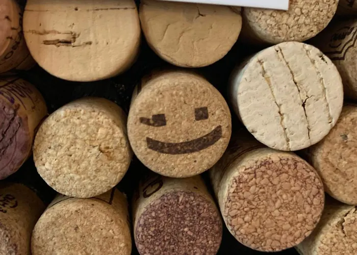 Lägenhet Le Saint Fiacre - Homillesime