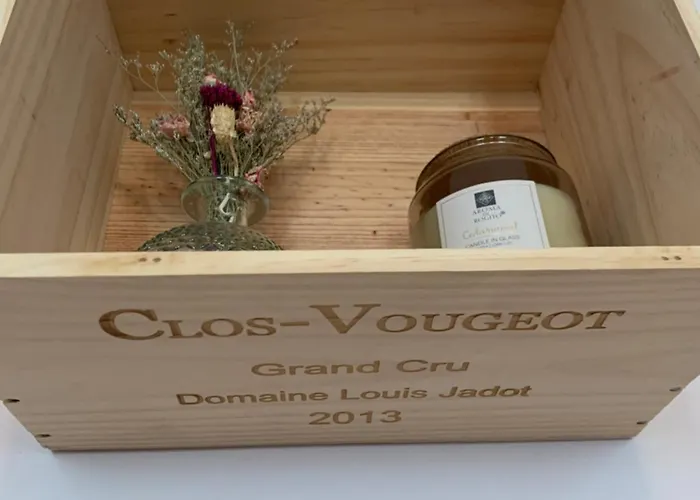 Le Saint Fiacre - Homillesime Lägenhet Dijon